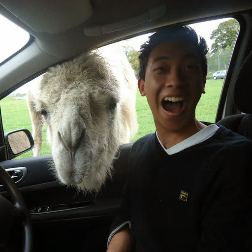 Nick Chan Photo 18
