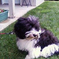 Marlene Callopy Photo 1