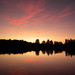 David Doan Photo 12