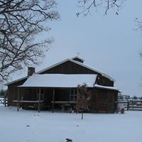 Nancy Chapin Photo 13