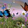 Nancy Thacker Photo 12