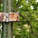 Keely Wood Photo 5