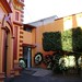 Guadalupe Flores Photo 27