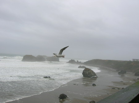 Janet Clark Photo 23