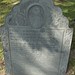 Thomas Barrett Photo 59