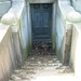 Michael Fielden Photo 15