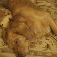 Susan Krause Photo 13