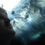 Russell Mccoy Photo 2