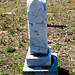 Robert Wilkins Photo 43