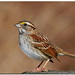 Elizabeth Sparrow Photo 22