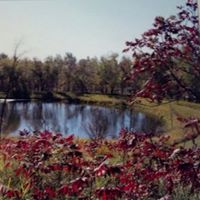Mary Althoff Photo 19