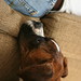Jean Brindle Photo 3