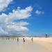 Sandy Whiting Photo 27