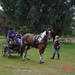 Jill Mcdowell Photo 24
