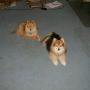 Christopher Colvin Photo 31