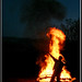 Brandon Potter Photo 41