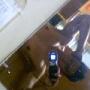 Joseph Angulo Photo 6