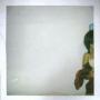 Elizabeth Downey Photo 13