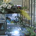 Rita Aiello Photo 6