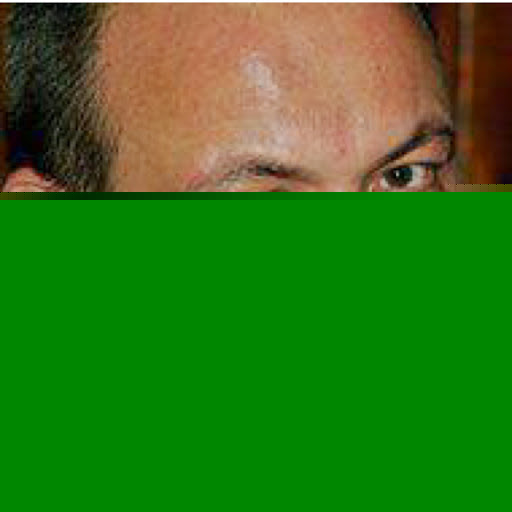 Michael Roth Photo 21