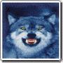 Bryan Wolf Photo 25