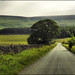 Dennis Edge Photo 18