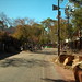 Alice Todd Photo 12