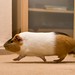 Amy Stock Photo 31