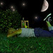 Stacie Taylor Photo 12