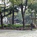 Nan Lin Photo 27