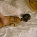 Robin Spaulding Photo 32