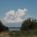 Joseph Colonna Photo 11