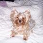 Debbie Fleming Photo 2