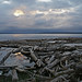 Susan Iverson Photo 26