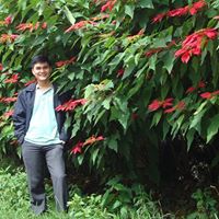 Quoc Duong Photo 10