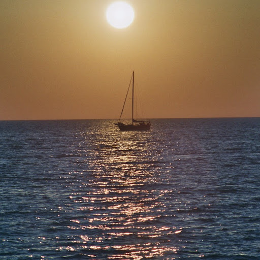 Bob Forrest Photo 35