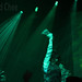 David Chee Photo 15