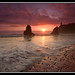 Ruby Beach Photo 5