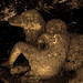 Fredrick Crow Photo 3