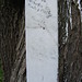 Russell Roberts Photo 19