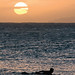Steve Fitzpatrick Photo 18