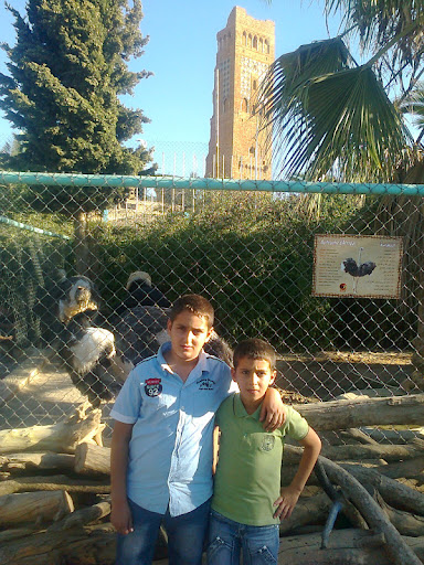 Mohammed Cherif Photo 13
