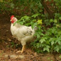Julie Albright Photo 36