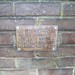 Stacey Green Photo 34