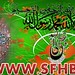 Syed Hussain Photo 30