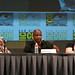 Steve Knowles Photo 9