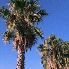 David Perret Photo 9