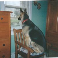 Lillian Martin Photo 6