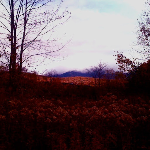 Lisa Thacker Photo 9