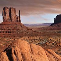 Patricia Stamper Photo 12